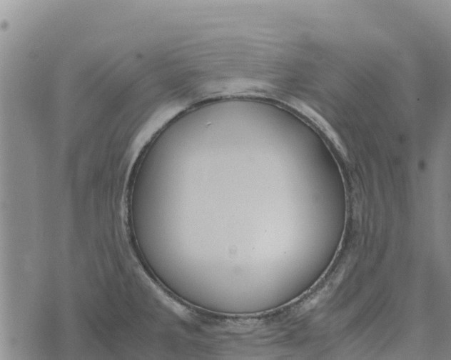 X0000072531285200608041548