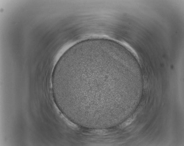 X0000072531287200608041548