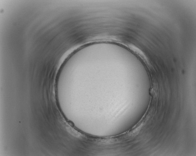 X0000072531288200608041548