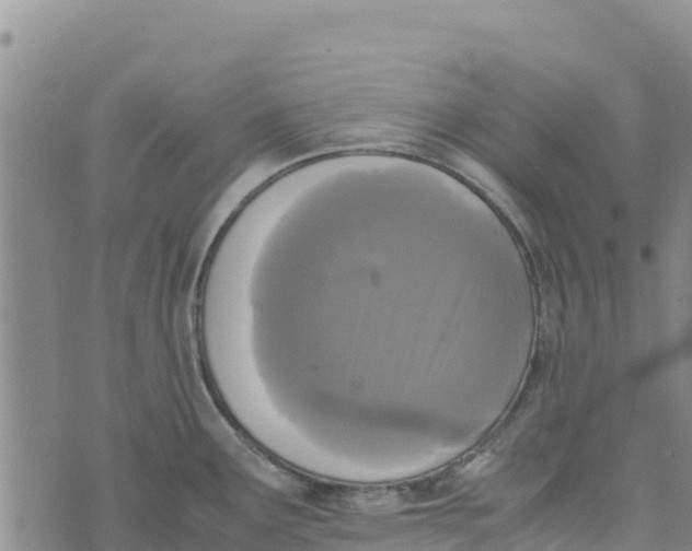 X0000072531291200608041548