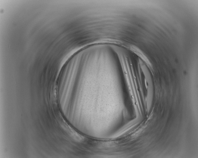 X0000072531292200608041548