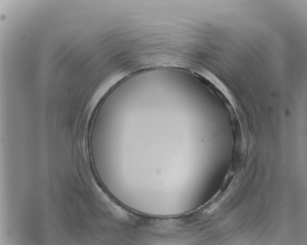 X0000072531293200608041548