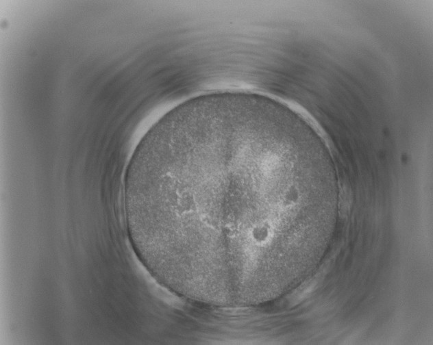 X0000072531295200608041548