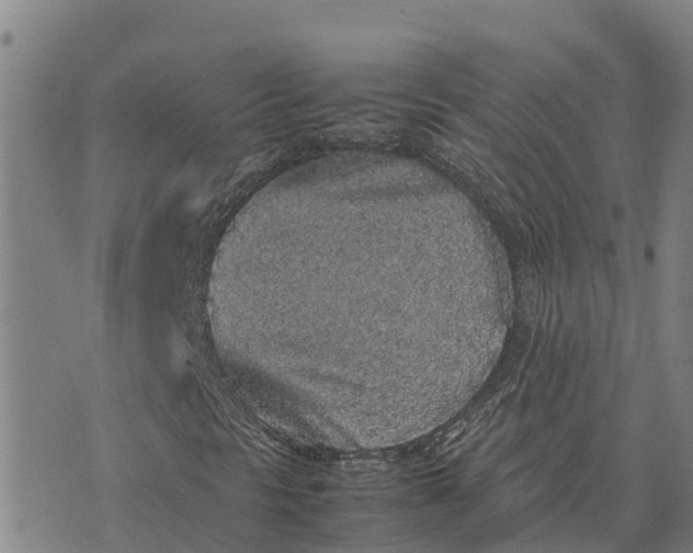 X0000072531297200608041547