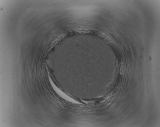 X0000072531298200608041547