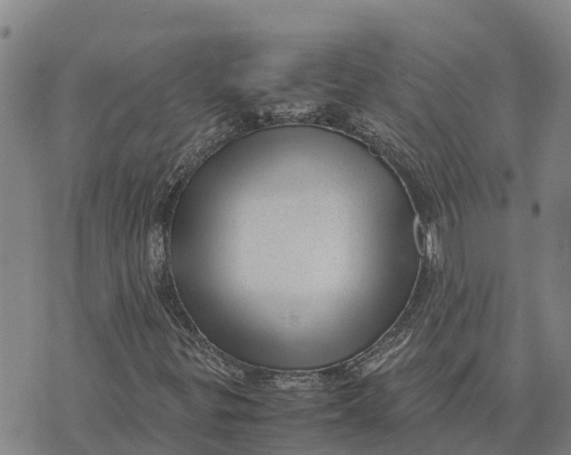 X0000072531299200608041547