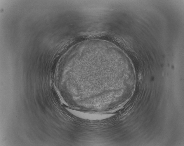 X0000072531300200608041547