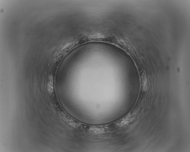 X0000072531301200608041547