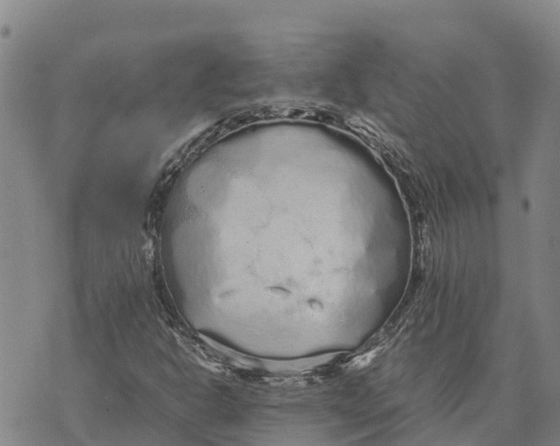 X0000072531302200608041547