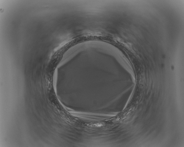 X0000072531303200608041547