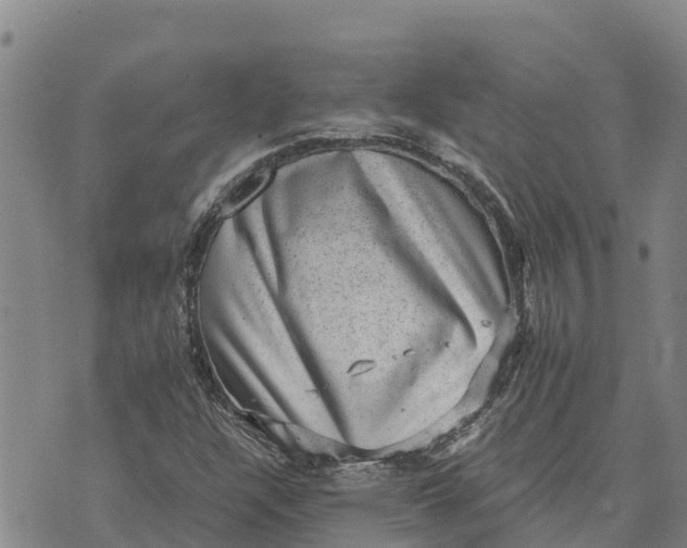 X0000072531304200608041547