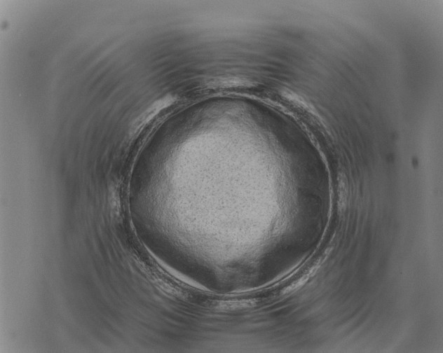 X0000072531305200608041547