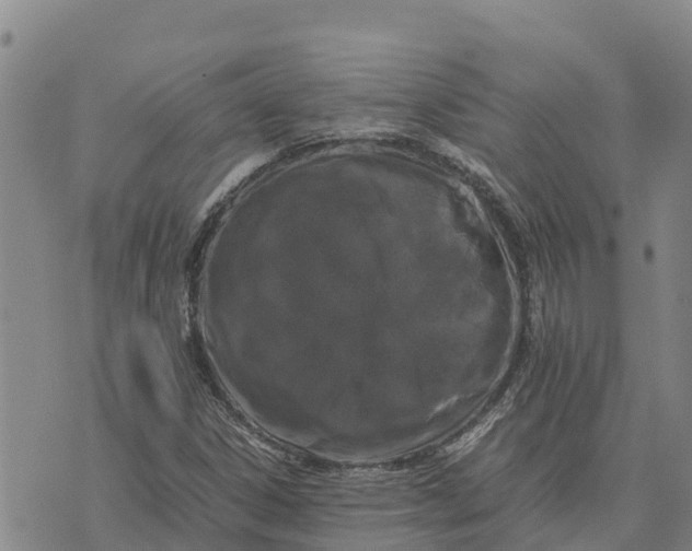 X0000072531306200608041547