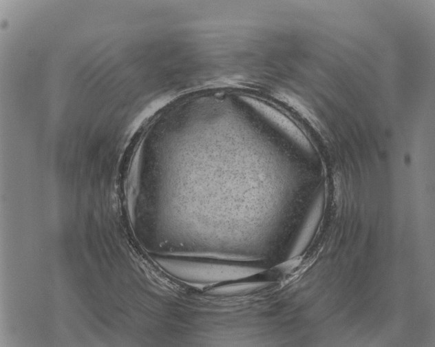 X0000072531308200608041547