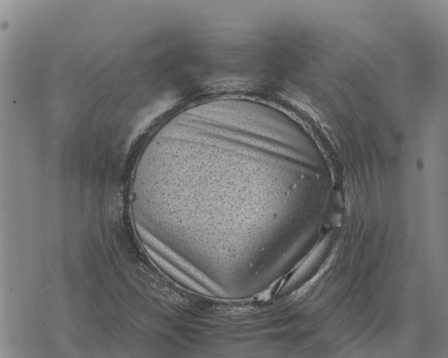 X0000072531309200608041547