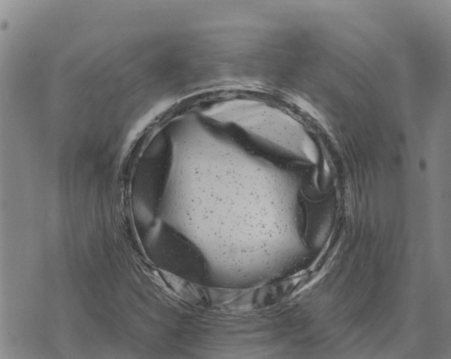 X0000072531310200608041547