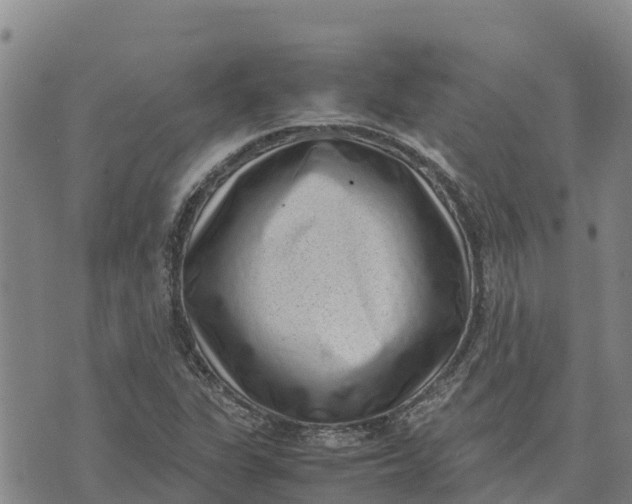 X0000072531311200608041547