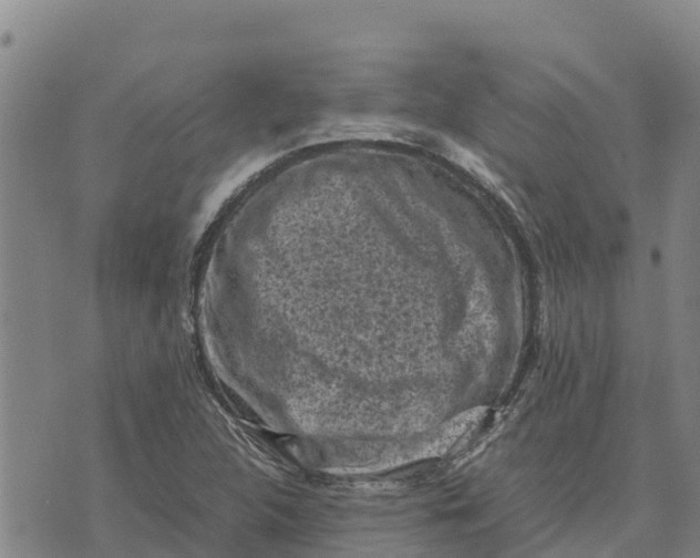 X0000072531312200608041547