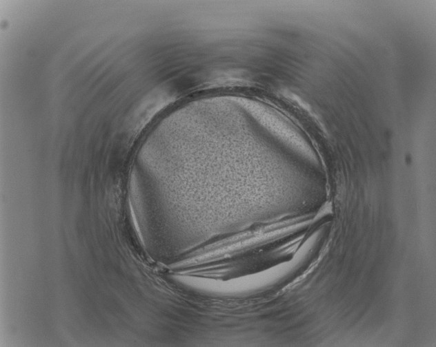 X0000072531313200608041547