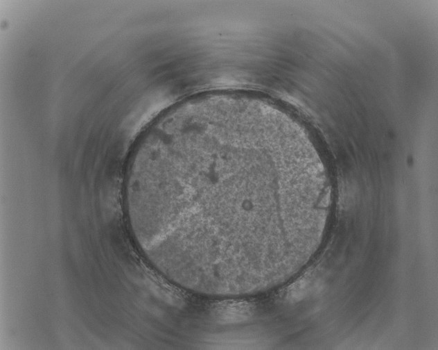 X0000072531314200608041547