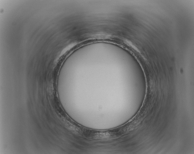 X0000072531315200608041547