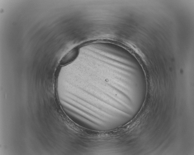 X0000072531316200608041547