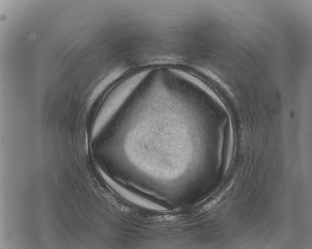 X0000072531317200608041547