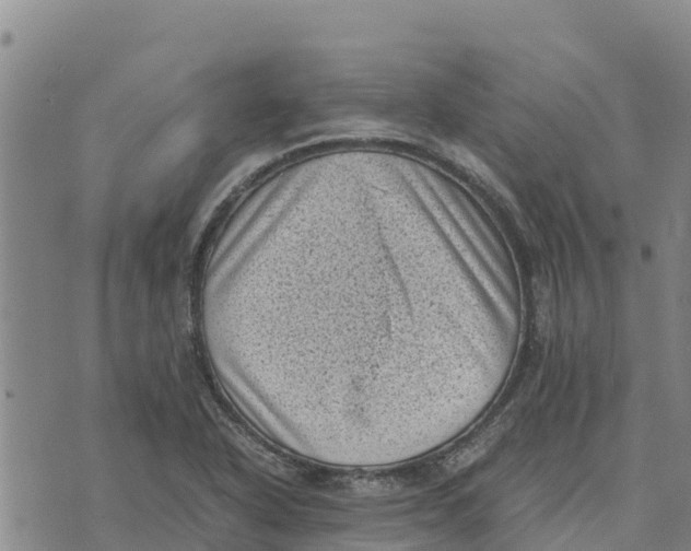 X0000072531318200608041547