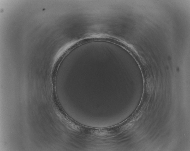 X0000072531319200608041547