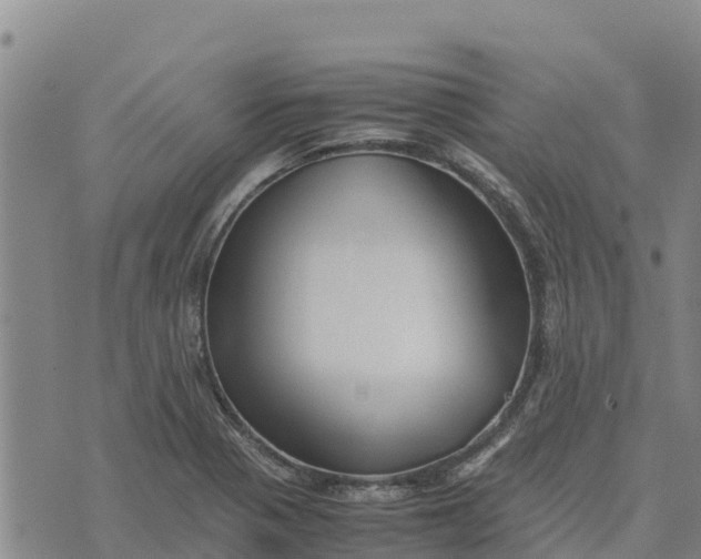 X0000072531321200608041547