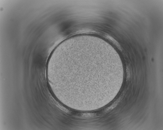 X0000072531322200608041547