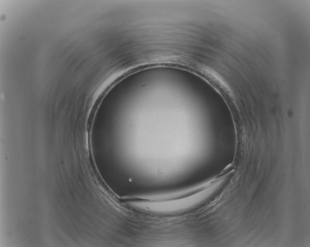 X0000072531324200608041547