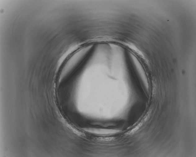 X0000072531325200608041547