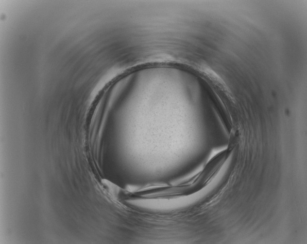 X0000072531326200608041547