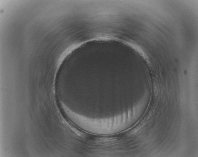 X0000072531327200608041547