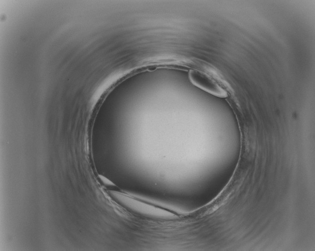 X0000072531328200608041547