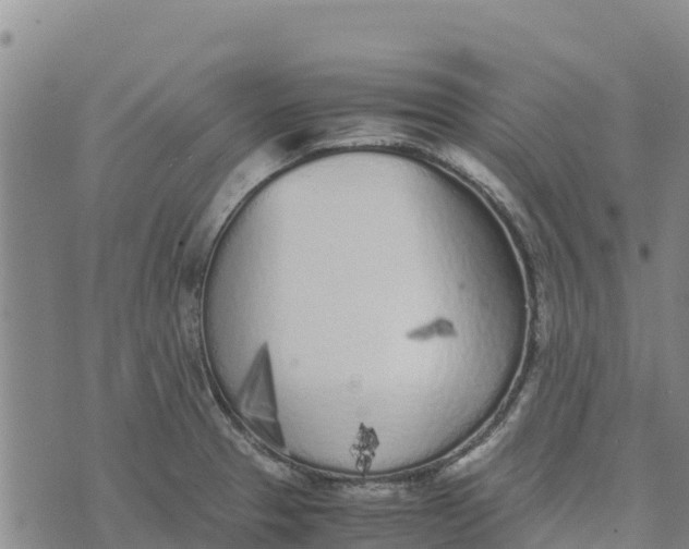 X0000072531329200608041547