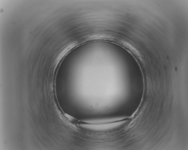 X0000072531330200608041547