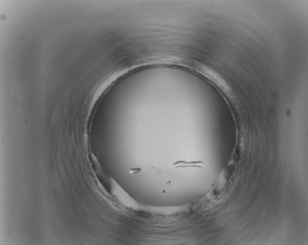 X0000072531332200608041547