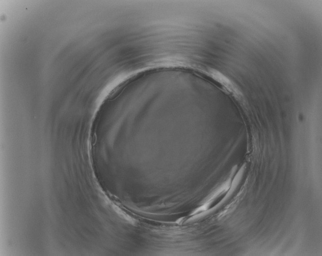 X0000072531334200608041547