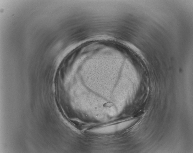 X0000072531335200608041547