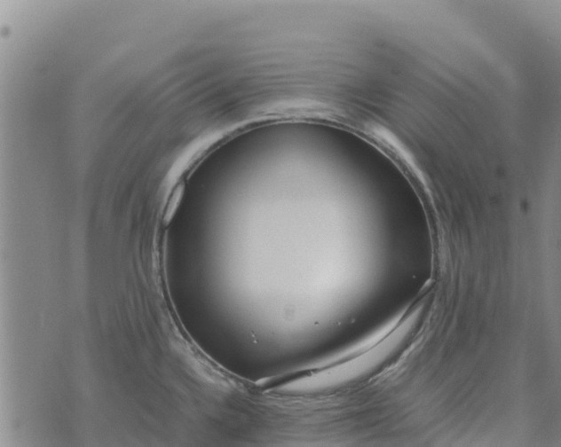 X0000072531336200608041547