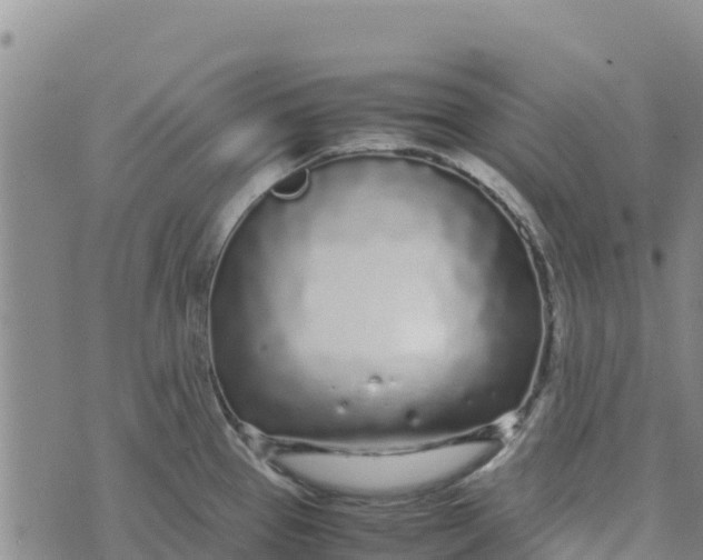 X0000072531337200608041547