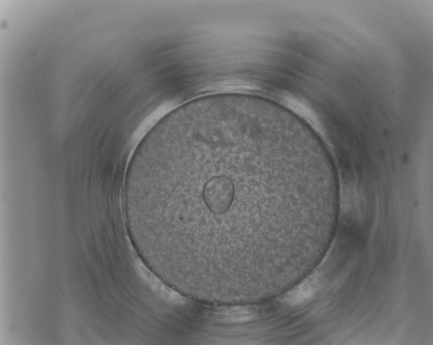 X0000072531338200608041547