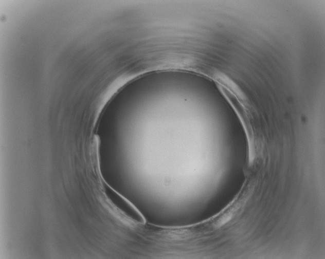 X0000072531340200608041547