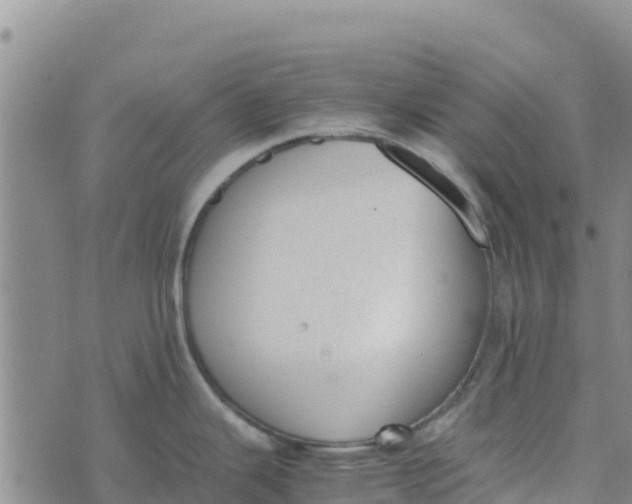 X0000072531343200608041548