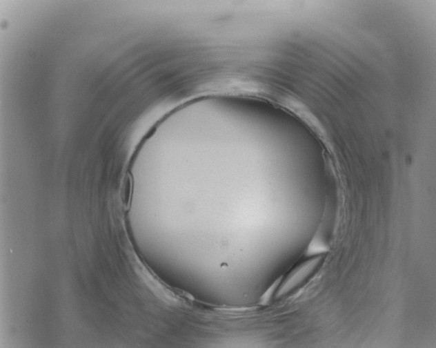 X0000072531344200608041548