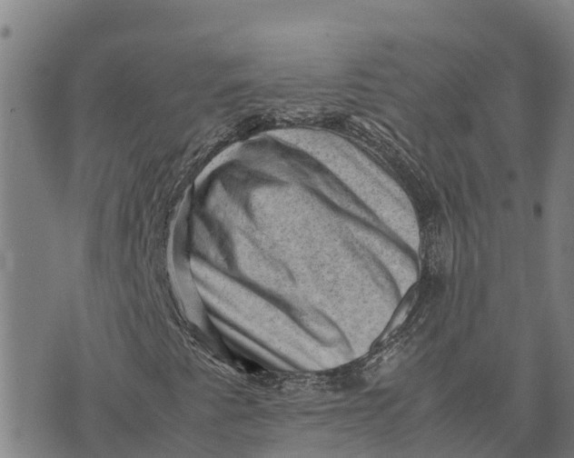 X0000072531345200608041547