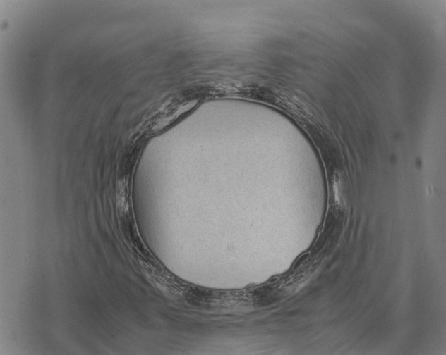 X0000072531347200608041547