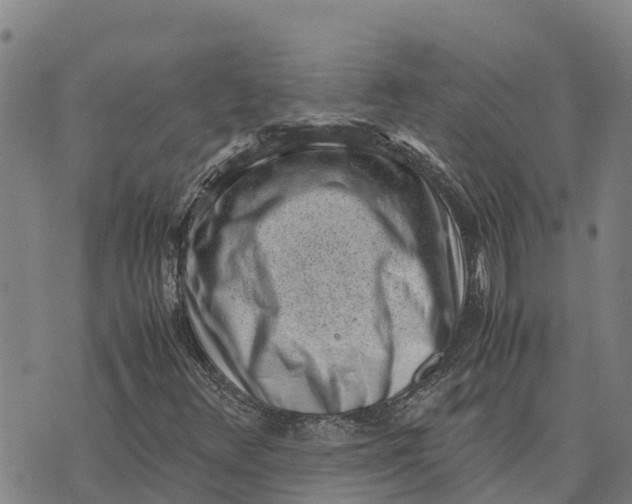 X0000072531348200608041547